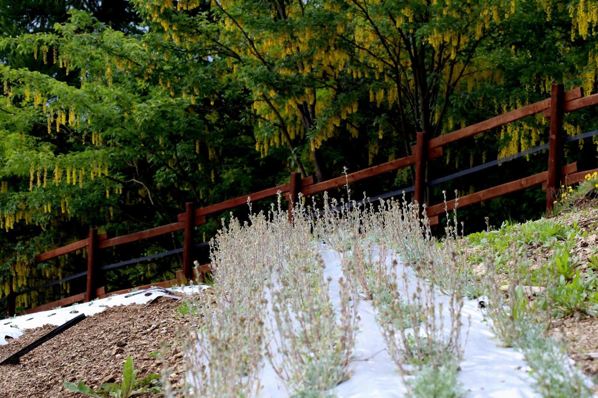 Agriturismo A Nostro Mizoun Villa Ostana Buitenkant foto